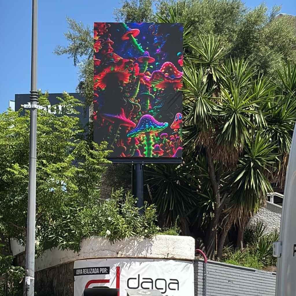 Trabajo 5
